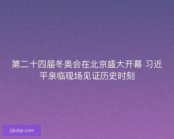 第二十四届冬奥会在北京盛大开幕 习近平亲临现场见证历史时刻